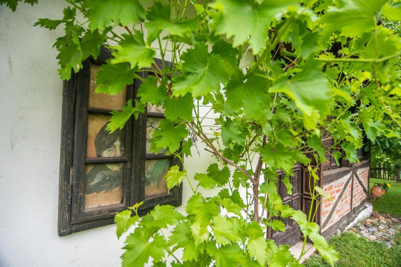 Lodge Morava Vrnjacka Banja Exterior photo